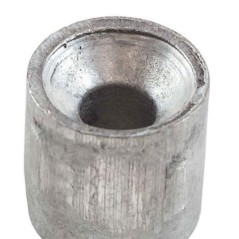 Anode