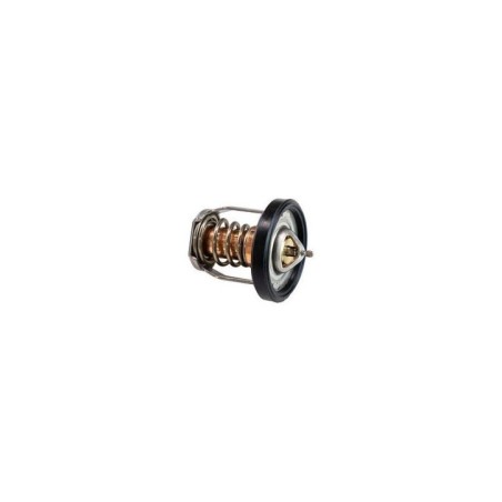 Termostato Original Suzuki 17670-91J22-000