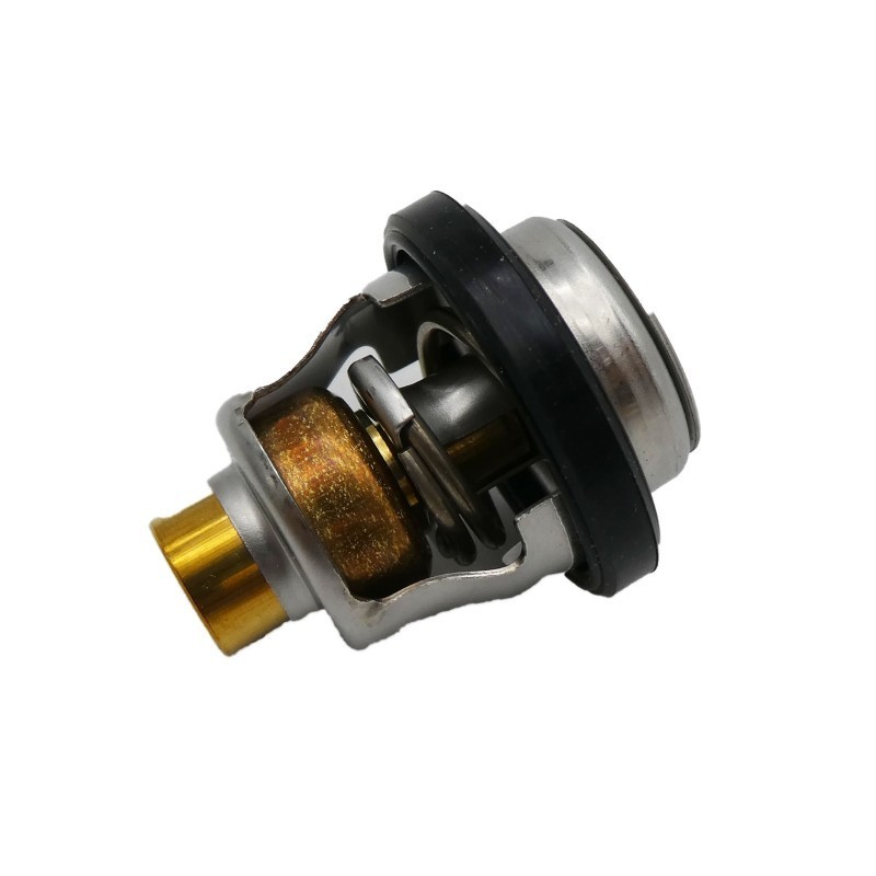 Termostato 60C 17670-94402-000