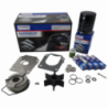 Kit Mantenimiento Suzuki 100B (70-80-90A-2021) 17400-87834-000