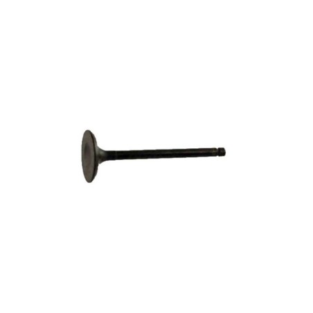 Valve,intake Original Suzuki 12911-88L00-000