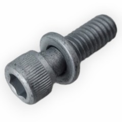 Bolt