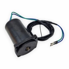 Motor Trim 38100-87J12