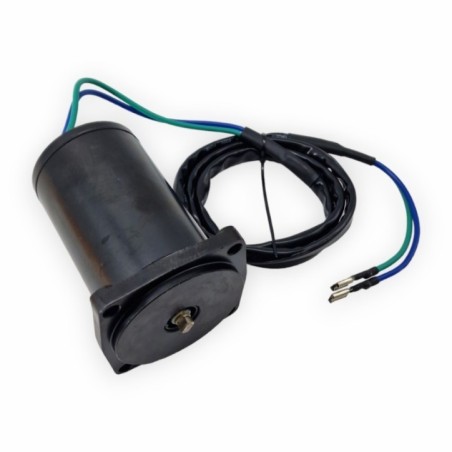 Motor Trim 38100-87J12