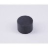 Magnet