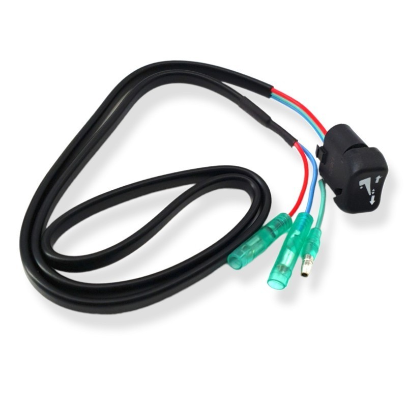 Switch assy