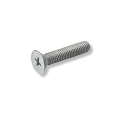 Screw