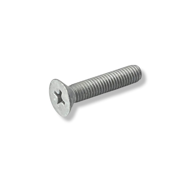 Screw