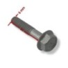 Bolt(6x30) Original Suzuki 01550-0630C-000