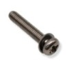 Screw