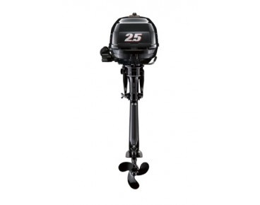 Suzuki Marine DF 2.5