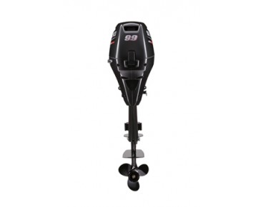 Suzuki Marine DF9.9A